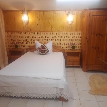 Apartament Pe Malul Raului Bega Timişoara Buitenkant foto