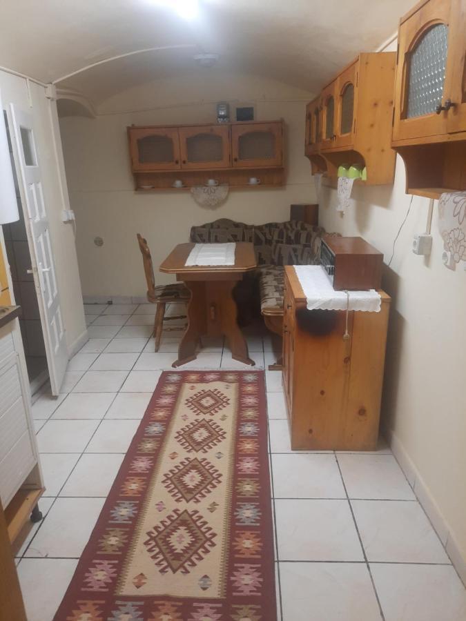 Apartament Pe Malul Raului Bega Timişoara Buitenkant foto